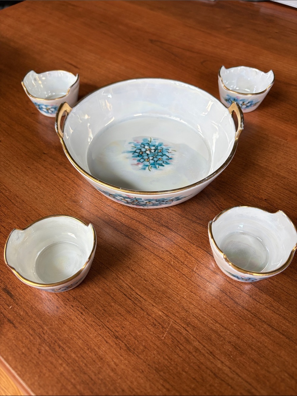 Vintage Bavaria Porcelain Snack Set Bowl and Four Cups Forget Me Not Floral